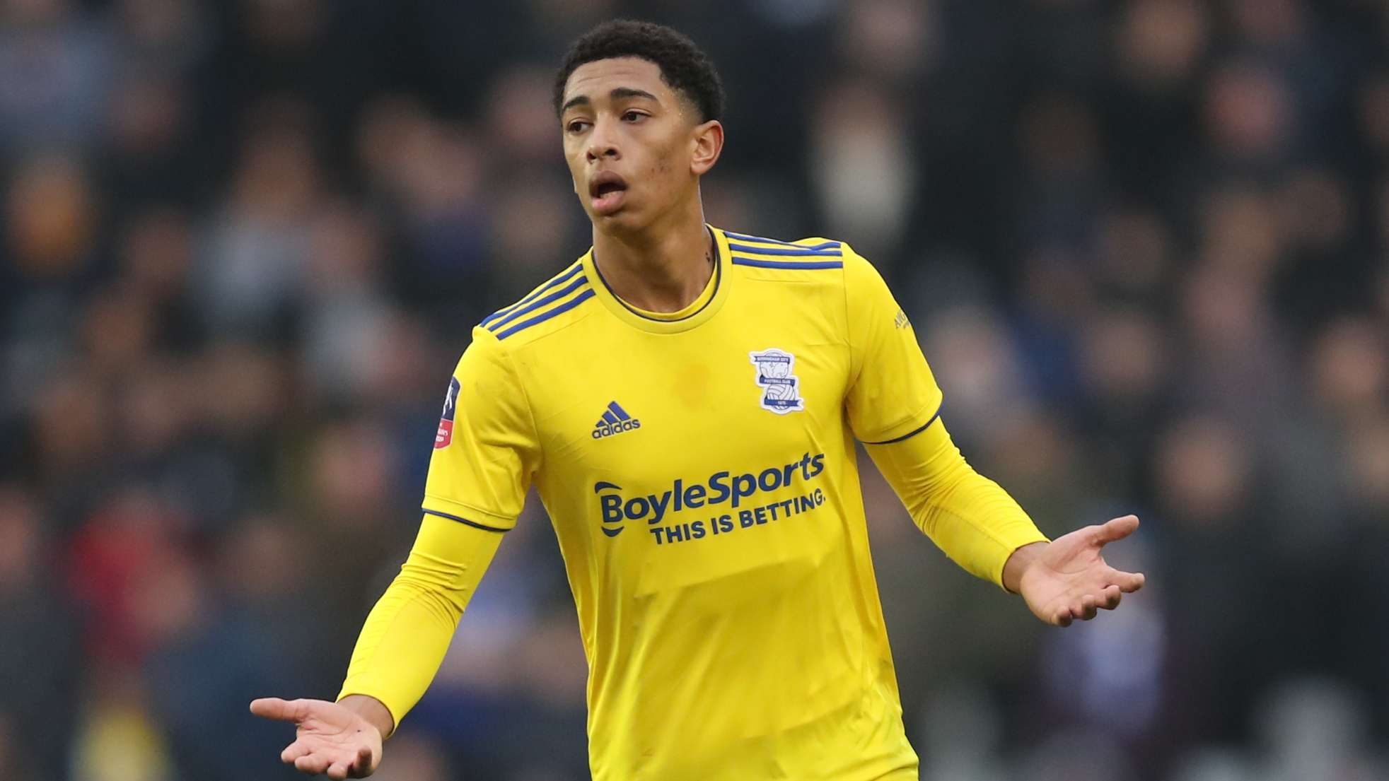 但问题在于 但问题在于