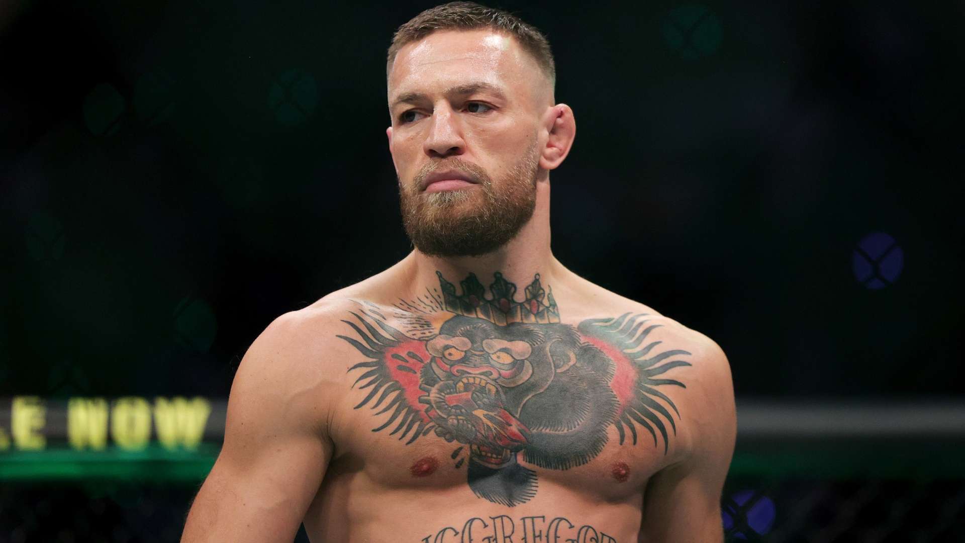 力於打造季 力於打造季