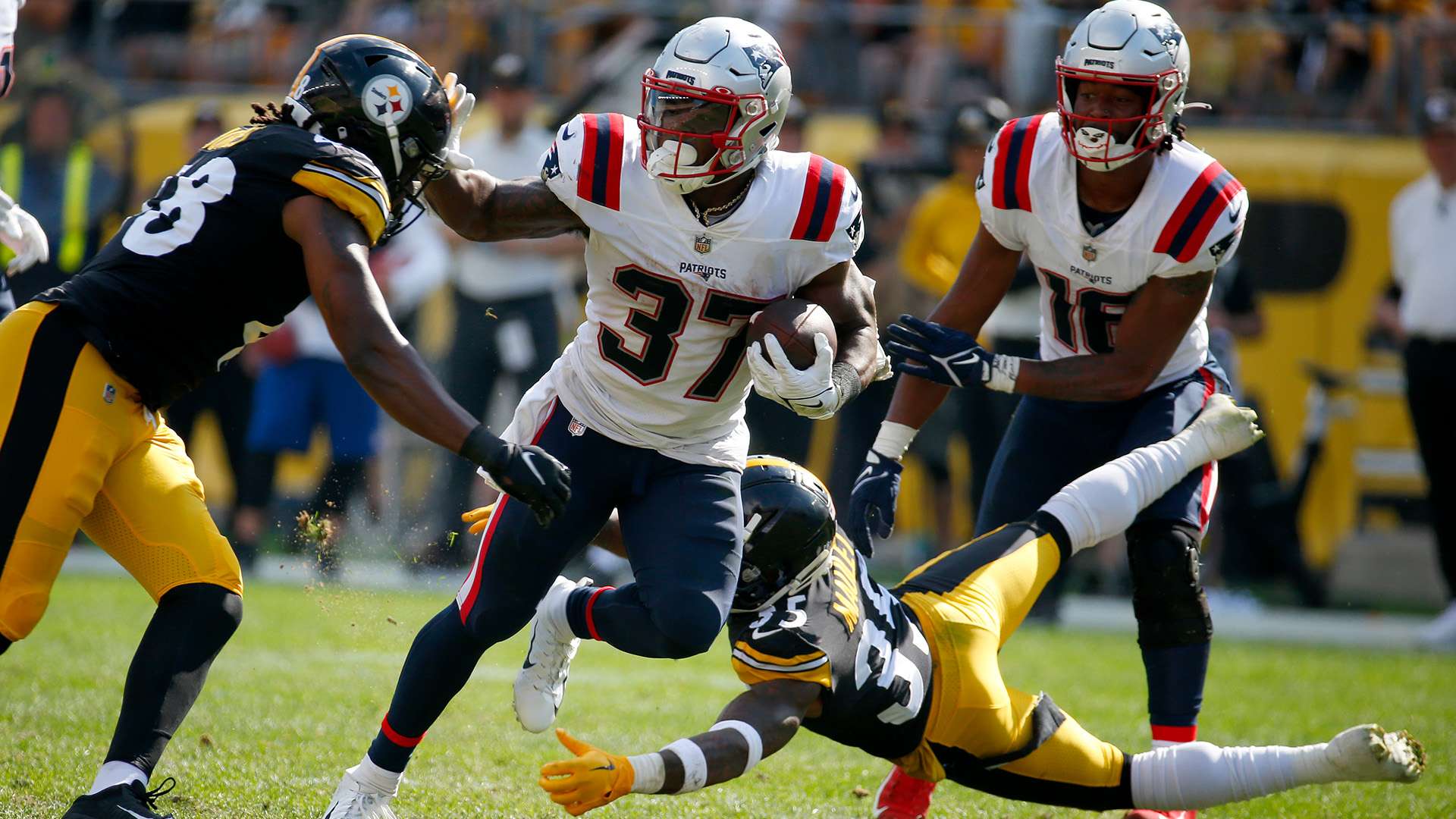 使观众能够 使观众能够